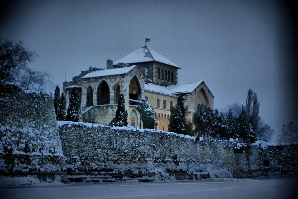 Siraly Panzio Topart Tata Bagian luar foto
